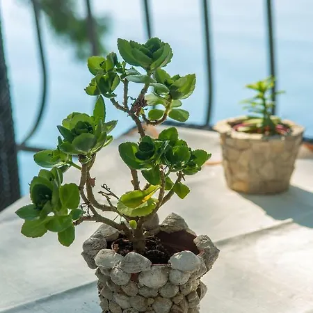 Ratak House アパート *