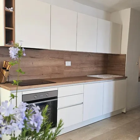 Apartment Ratak House *