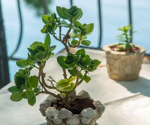 Ratak House Apartment *